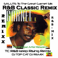 Garnett Silk - Complaint (Backing Vocals Twiggi) - R&amp;B Old School Classic Remix  (DJ Top Cat Tribute Mix) by Jah Fingers 