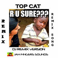 Top Cat - R U SURE ( DJ TOP CAT REMIX } by Jah Fingers 