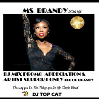BRANDY 2016 - Classic Groove DJ Mix Promo for Appreciation &amp; Support Only by Jah Fingers 