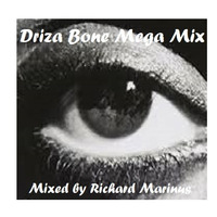 Driza Bone Mega Mix - In the mix - Mixed by Richard Marinus by Groove Inc.