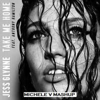 Jess Glynne Vs Fedde Le Grand Vs Merk & Kremont - Take Me Give Me Home (Michele V Mashup) by Michele V