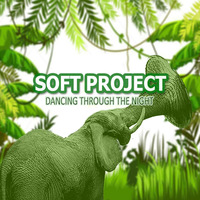 🚀SOFT PROJECT - DANCING THROUGH THE NIGHT (ORIGINAL MIX)🚀SC by DJ Producer Leandro d' Avila SP/BRASIL