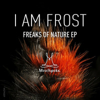 I am Frost - Birds of Paradise (Rich & Maroq Remix) [Preview] by Rich & Maroq