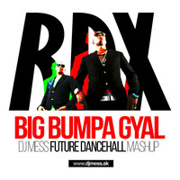 RDX - Big Bumpa Gyal (Dj MeSs Future Dancehall Mashup) by Dj MeSs