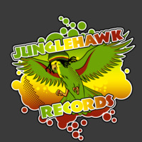 Junglehawk-Turn it up Loud by Junglehawk