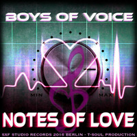 Boys of Voice - Notes of Love (SXF XTC Remix) by SXF Thunderscream
