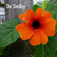 They Look Away by De Selby