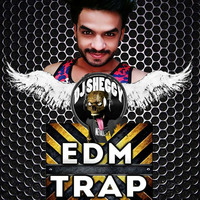 EDM & TRAP -2016 -Podcast -DJ Sheggy Remix by D J Sheggy