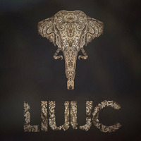 LIUUC - Hāthī (हाथी) by Liuuc