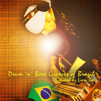 Drum´n´Bass Grooves Of Brazil by DJ. Lion Dee