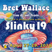 Bret Wallace - Live At Slinky 19 - April 2018 by JAM On It Podcast