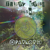 Trippy Hippie Mix by  Pavlov