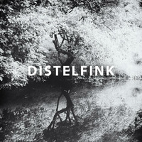 Distelfink - Berg/Tal || Instrumental Metal Original by BKM