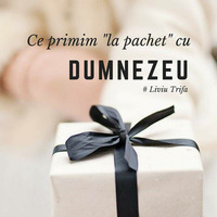 Ce primim la pachet cu Dumnezeu? - Liviu Trifa by ekklesia