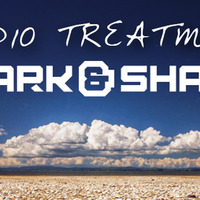 Audio Treatment 033 by Spark & Shade