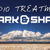 Audio Treatment 034 by Spark & Shade