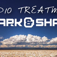 Audio Treatment 026 by Spark & Shade