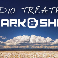 Audio Treatment 027 by Spark & Shade