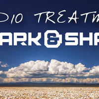Audio Treatment 028 by Spark & Shade