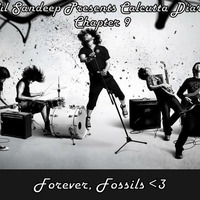 Calcutta Diaries (Chapter 9: Forever, Fossils) by Sandeep S
