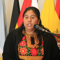 Natalia Sarapura - Secretaria de Pueblos Originarios - Ley 5915 by unjuradio03