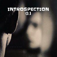 INTROSPECTION 0.1 by JéjéHK