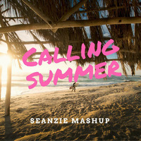 Calling Summer (Seanzie Mashup) by DJ Seanzie