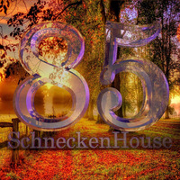SchneckenHouse 85 by BDC Garage