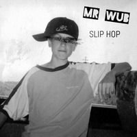 Slip Hop by Mr Wub