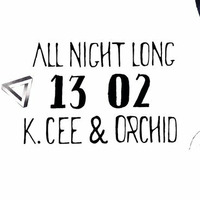 Orchid &amp; K.Cee - 4 Vinyl 2 Mixers set - at Paradigm Groningen 13-02-2016 by Orchid