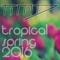 Tropical Spring Mixtape 2016 (tropical house / house) by TimD
