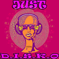 THE DISCO PLUMBER ...JUST DISKO OR HOUSE by HOLED UP IN THE HILLS ..             Audio  sculptures for a f**ked up world !!!