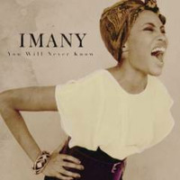 Mixing: Imany - You Will Never Know (2013) by MCP Music Production & Consulting