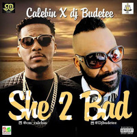 she too bad djbudetee ft calebin 2016. by Djbudetee Taiwo Obude