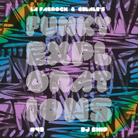 Funky Explorations #43 (Dj Snip) by La fabrock