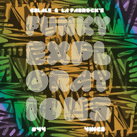 Funky Explorations #44 (Vince) by La fabrock