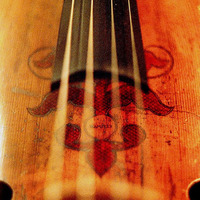 Around Bach Cello Suite No.1 Prelude- demo by FD-Light-Project