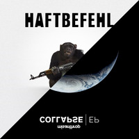 Haftbefehl vs. Misanthrop - Kollaps im Zoo (Kolt Siewerts Drum &amp; Bass Mashup) by Kolt Siewerts