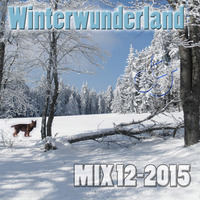 DJ Pierre - Winterwunderland - Mix 12-2015 by DJ Pierre