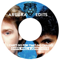 Hall And Oates - I Cant Go For That by Aruera