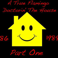Sami Dee Presents A True Flamingo Doctorin' The House Between 1986 &amp; 1989 Pt. One by Sami Dee Forever