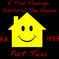 Sami Dee Presents A True Flamingo Doctorin' The House Between 1986 &amp; 1989_Part Two_February 9, 2019 by Sami Dee Forever