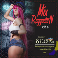 MIX Reggaeton vol.6 (Si tu lavez) - SHAGUISENSATION by ShaguiSensation Dj