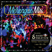 Mix Merengue Vol.1 (La Dueña del swing) - SHAGUISENSATION by ShaguiSensation Dj