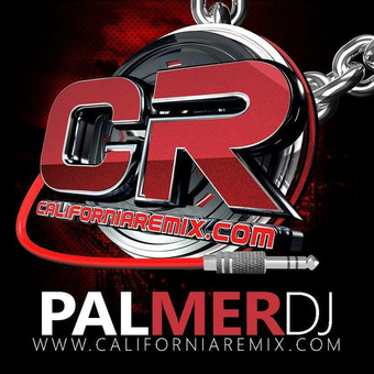 Palmer Dj Remixer