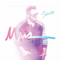 Shindy Vs. Usher - Springfield (Dj Q Remix) by Dj Q