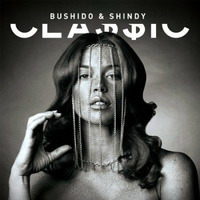 Bushido & Shindy - Über Alles (Dj Q Remix) by Dj Q