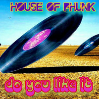  HOUSE OF PHUNK    DO YOU LIKE IT by Ivan Sash   DJ & More