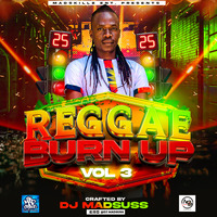 Reggae Burn Up Vol 3 - DJ MADSUSS [ Madskillz Entertainment] by DJ MADSUSS