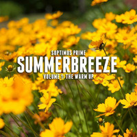 Summerbreeze I (Gee's House Party - The warm up) (2016) by Soptimus Prime